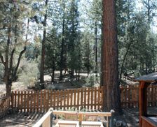 United States California Pine Mountain Club vacation rental compare prices direct by owner 2438092