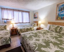 United States Hawaii Lihue vacation rental compare prices direct by owner 27770586