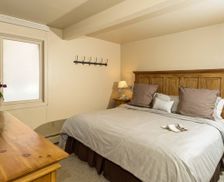 United States Colorado Aspen vacation rental compare prices direct by owner 1182039