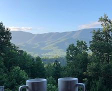 United States Tennessee Gatlinburg vacation rental compare prices direct by owner 26541078
