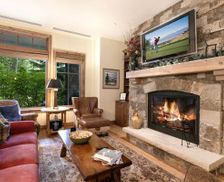 United States Colorado Avon vacation rental compare prices direct by owner 28758715