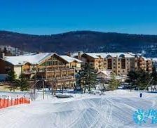 United States New York Ellicottville vacation rental compare prices direct by owner 27351733