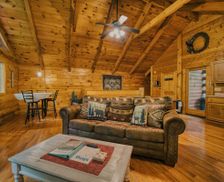 United States Tennessee Sevierville vacation rental compare prices direct by owner 29189942
