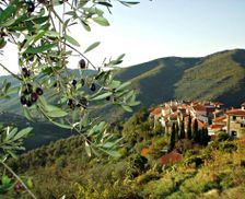 Italy Liguria Chiusanico vacation rental compare prices direct by owner 13793081