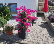 Germany Rhineland-Palatinate Alken vacation rental compare prices direct by owner 25193920