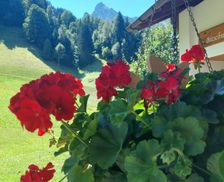 Austria Vorarlberg Tschagguns vacation rental compare prices direct by owner 33217800