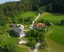 Slovenia Carinthia Slovenj Gradec vacation rental compare prices direct by owner 19104014