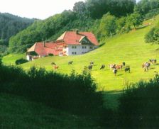 Germany Baden-Württemberg Hofstetten vacation rental compare prices direct by owner 6280333