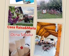 Romania Sibiu County Ocna Sibiului vacation rental compare prices direct by owner 13735060