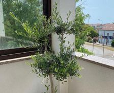 Croatia Istria Poreč vacation rental compare prices direct by owner 35453513