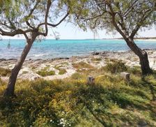 Italy Apulia Punta Prosciutto vacation rental compare prices direct by owner 27771503