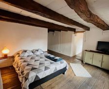 France Champagne - Ardenne Langres vacation rental compare prices direct by owner 28132154