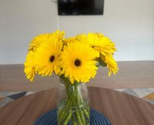 Kazakhstan West Kazakhstan Region Oral vacation rental compare prices direct by owner 29029003