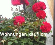 Germany Baden-Württemberg Murg vacation rental compare prices direct by owner 26727315