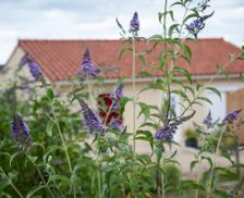 France Nouvelle-Aquitaine Fossemagne vacation rental compare prices direct by owner 15514001