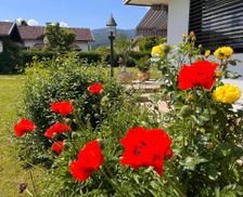 Austria Carinthia Villach vacation rental compare prices direct by owner 33657415