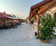 Hungary Borsod-Abauj-Zemplen Mád vacation rental compare prices direct by owner 13681945