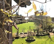 Germany Fehmarn Westfehmarn vacation rental compare prices direct by owner 35168505