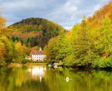 Germany Rhineland-Palatinate Bad Bergzabern vacation rental compare prices direct by owner 13011801