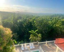 Jamaica Trelawny Falmouth vacation rental compare prices direct by owner 19187685