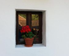 Hungary Borsod-Abauj-Zemplen Telkibánya vacation rental compare prices direct by owner 13018643