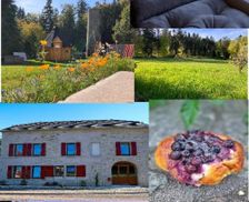 France Lorraine Le Val-dʼAjol vacation rental compare prices direct by owner 35273640