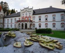 Czechia Vysocina Herálec vacation rental compare prices direct by owner 26257100