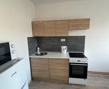 Czechia Usti nad Labem Děčín vacation rental compare prices direct by owner 35859721