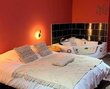 France Nord-Pas-de-Calais Tourcoing vacation rental compare prices direct by owner 33598156