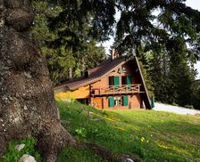 Slovenia Gorenjska Cerklje na Gorenjskem vacation rental compare prices direct by owner 6735304