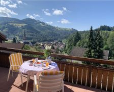 Germany Baden-Württemberg Schönau im Schwarzwald vacation rental compare prices direct by owner 33696567