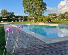 Italy Tuscany Magliano in Toscana vacation rental compare prices direct by owner 14201918