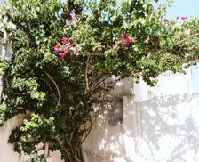 Italy Apulia Monacizzo vacation rental compare prices direct by owner 35661290