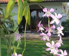 Indonesia West Java Batukaras vacation rental compare prices direct by owner 35881018