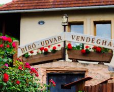 Hungary Borsod-Abauj-Zemplen Mályinka vacation rental compare prices direct by owner 26811144