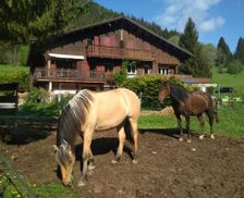 France Rhône-Alps Saint-Jean-de-Tholome vacation rental compare prices direct by owner 28321314