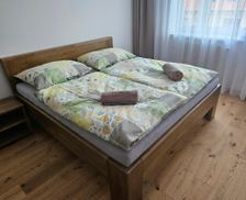 Slovakia Trnavský kraj Skalica vacation rental compare prices direct by owner 35195777