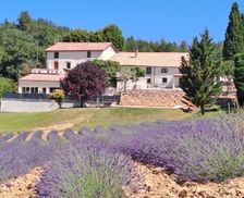 France Provence-Alpes-Côte d'Azur Mézel vacation rental compare prices direct by owner 13889013