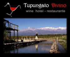 Argentina Mendoza Province Tupungato vacation rental compare prices direct by owner 12790084