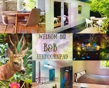 Netherlands Noord-Brabant Tilburg vacation rental compare prices direct by owner 35942494