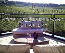 France Champagne - Ardenne Chamery vacation rental compare prices direct by owner 14224745