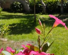 Italy Campania Paestum vacation rental compare prices direct by owner 7510188