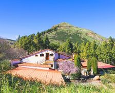 Spain Gran Canaria Tejeda vacation rental compare prices direct by owner 14029623