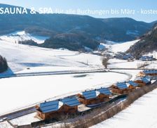 Austria Lower Austria Puchberg am Schneeberg vacation rental compare prices direct by owner 23617189