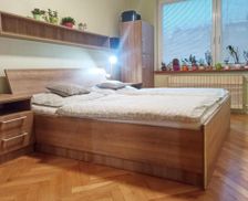 Czechia South Moravian Region Hodonín vacation rental compare prices direct by owner 36484141