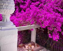 Italy Apulia Massafra vacation rental compare prices direct by owner 6675901