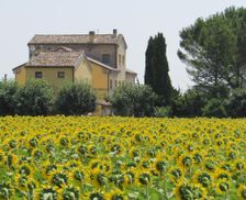 Italy Marche Osimo vacation rental compare prices direct by owner 13675329