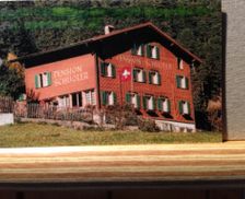 Switzerland Grisons Disentis vacation rental compare prices direct by owner 14078653