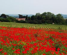 France Languedoc-Roussillon Nizas vacation rental compare prices direct by owner 15952524