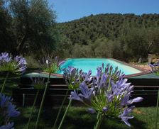 Italy Tuscany Vetulonia vacation rental compare prices direct by owner 14081498